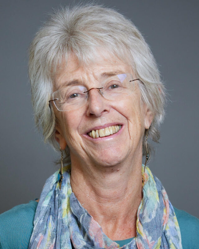 Baroness Ruth Lister, Comment Central contributor
