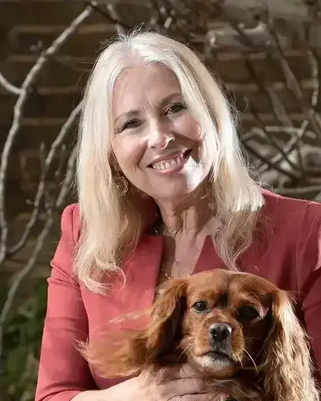 Lorraine Platt, Comment Central contributor