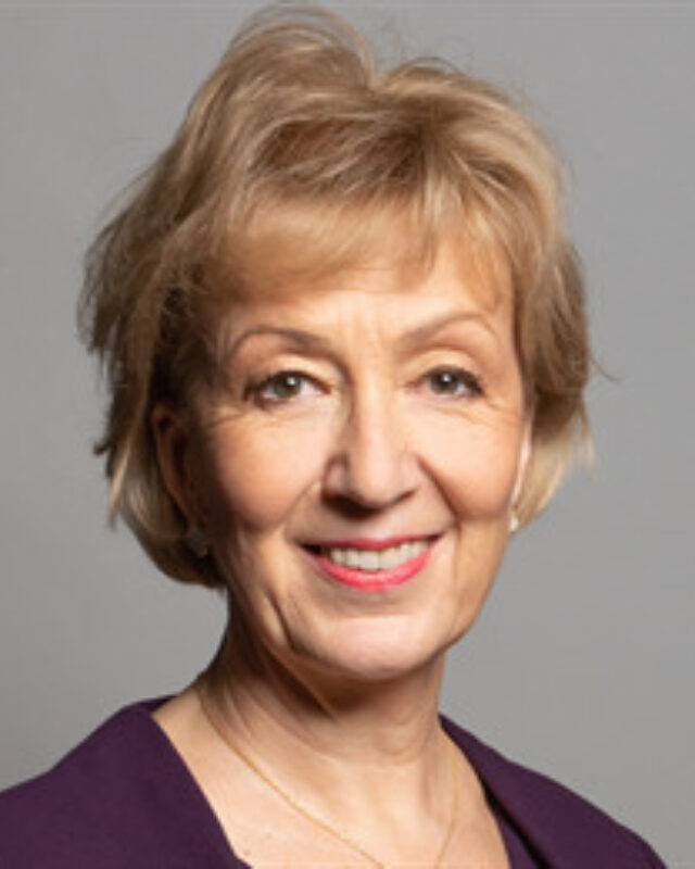 Andrea Leadsom, Comment Central contributor