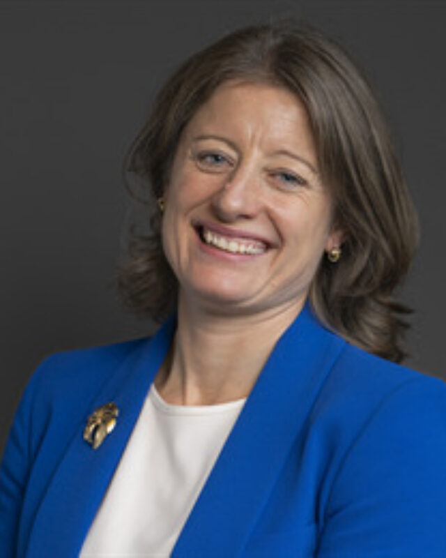 Helen Maguire MP, Comment Central contributor