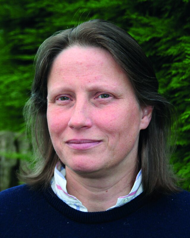 Henrietta Appleton, Comment Central contributor