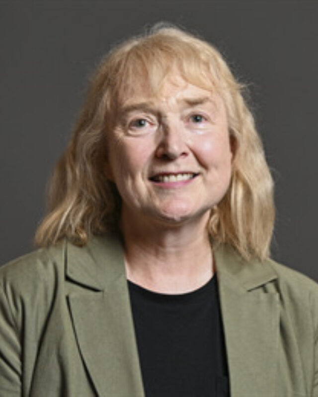 Irene Campbell MP, Comment Central contributor