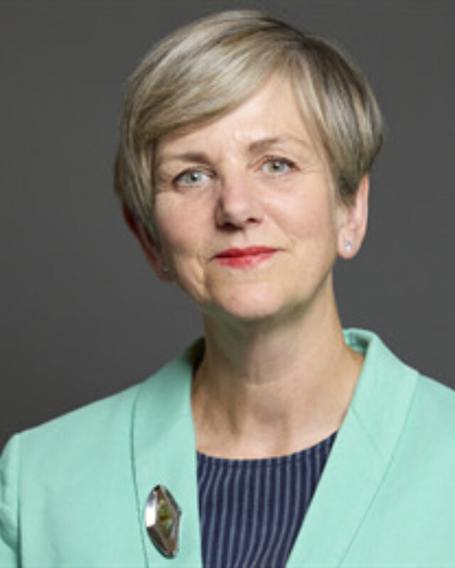 Lilian Greenwood MP, Comment Central contributor