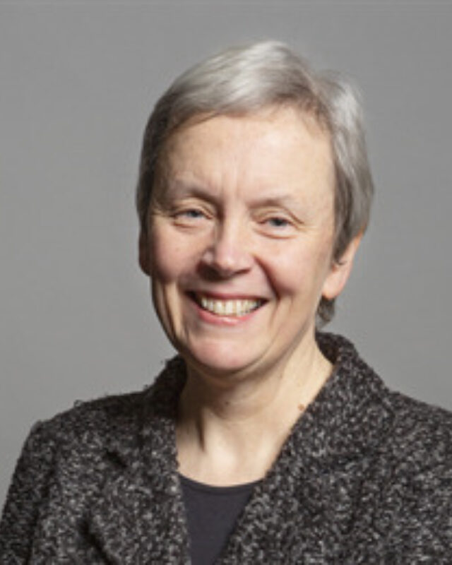 Margaret Greenwood, Comment Central contributor