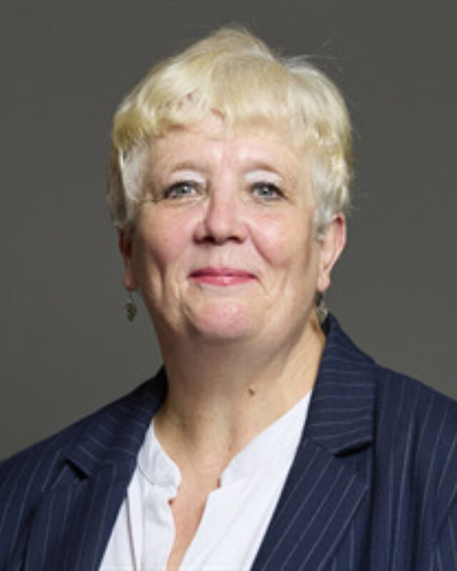Margaret Mullane MP, Comment Central contributor