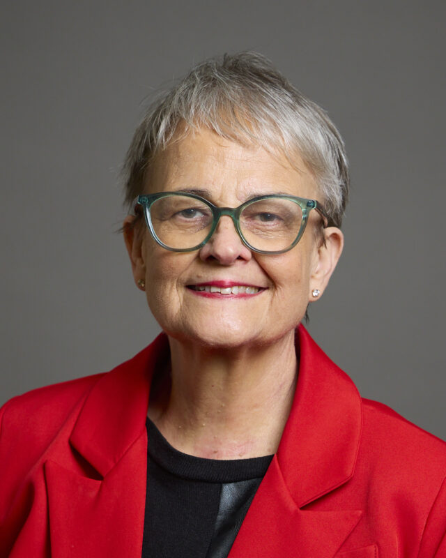 Baroness Margaret Ritchie, Comment Central contributor