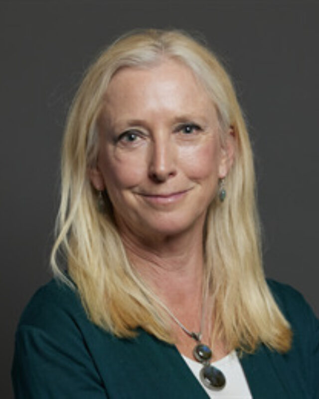 Dr Roz Savage MP, Comment Central contributor
