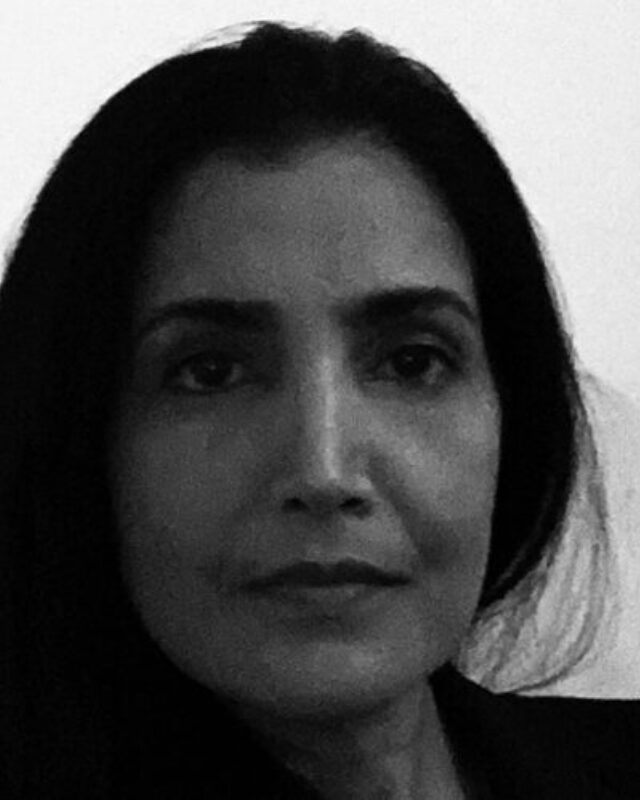 Seema Dosaj, Comment Central contributor
