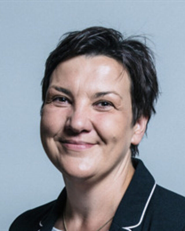 Tonia Antoniazzi MP, Comment Central contributor