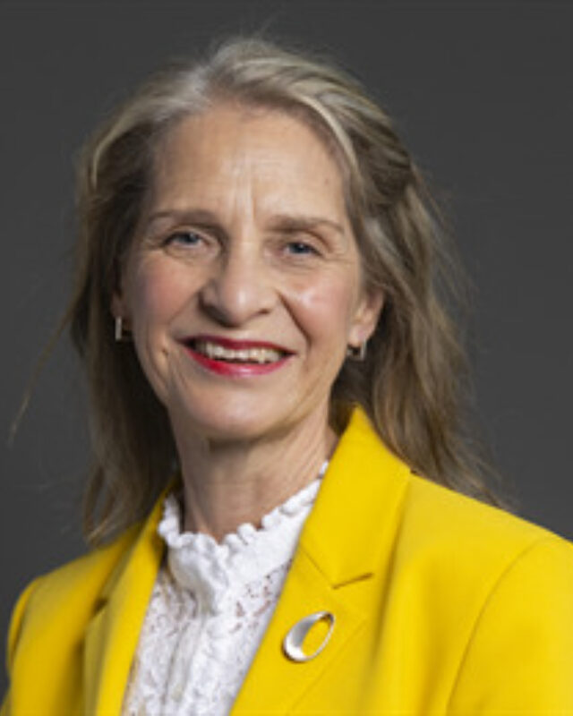 Wera Hobhouse MP, Comment Central contributor